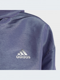 Худи и свитшоты Adidas модель HR5811-KZ Фото