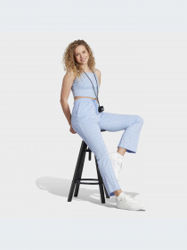 Брюки Adidas Graphics модель IC5721-KZ Фото