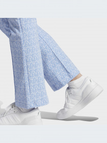 Брюки Adidas Graphics модель IC5721-KZ Фото