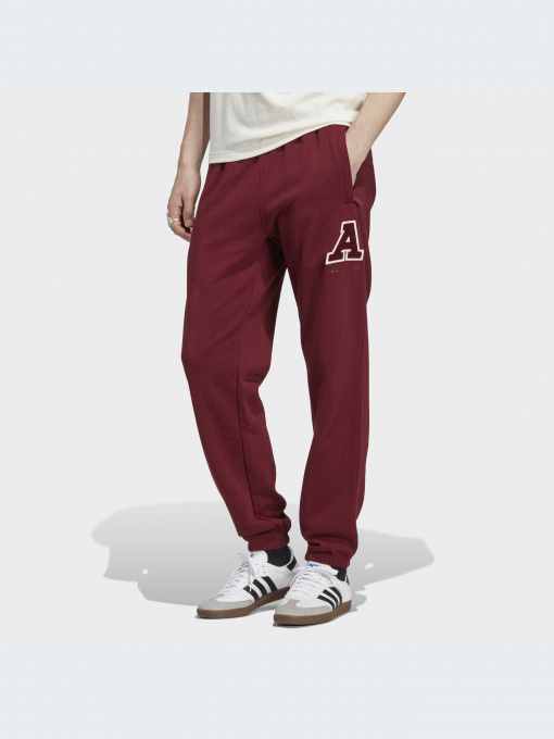 Брюки Adidas модель IC8398-KZ Фото