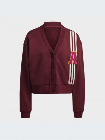 Худи и свитшоты Adidas модель IC5220-KZ Фото