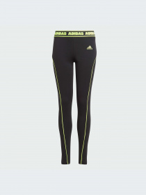 Брюки Adidas модель IA1586-KZ Фото