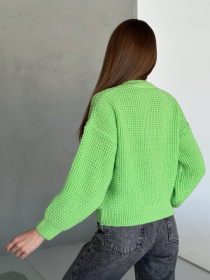 Джемпер ISSA Plus модель WN20-560_салатовый Фото