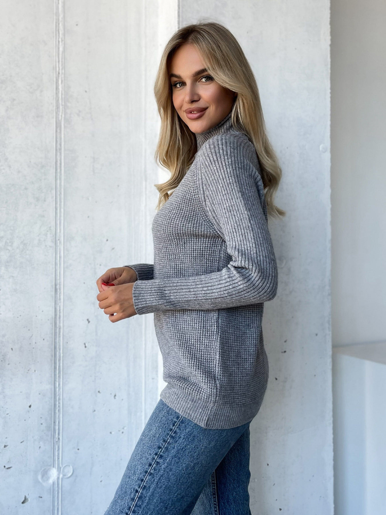 Водолазка ISSA Plus модель WN20-573_серый Фото