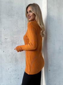 Водолазка ISSA Plus модель WN20-575_горчичный Водолазка ISSA Plus модель WN20-575_горчичный Фото