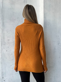 Водолазка ISSA Plus модель WN20-575_горчичный Водолазка ISSA Plus модель WN20-575_горчичный Фото