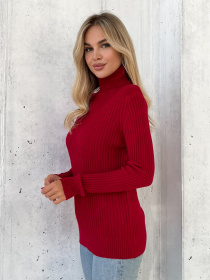 Водолазка ISSA Plus модель WN20-575_красный Фото