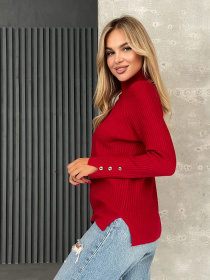 Водолазка ISSA Plus модель WN20-577_красный Фото