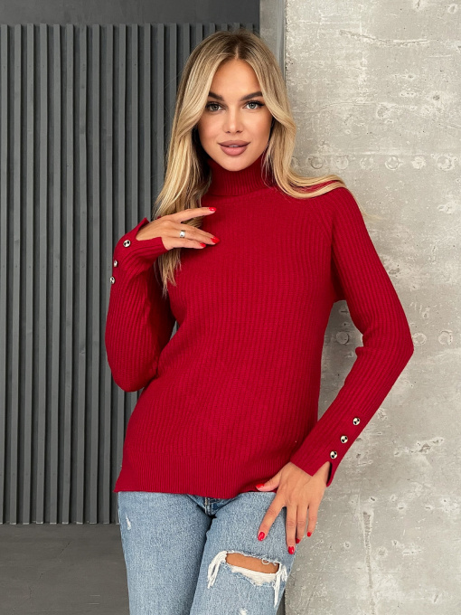 Водолазка ISSA Plus модель WN20-577_красный Фото