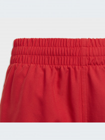 Шорты для плавания Adidas Adicolor модель IC4744 Фото