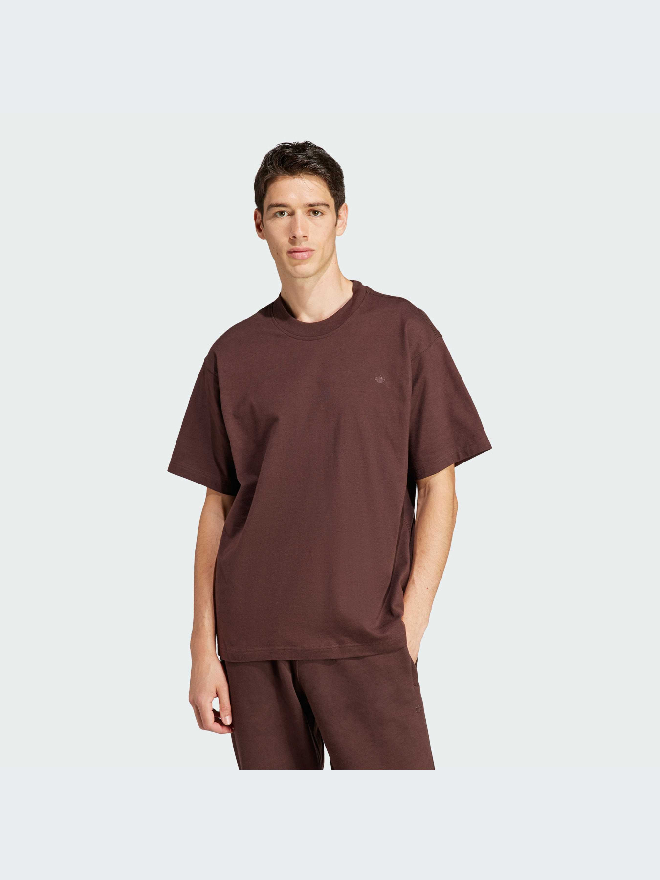 Футболка Adidas Adicolor модель IM4391 Фото