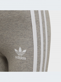 Леггинсы Adidas Adicolor модель HK2971 Фото