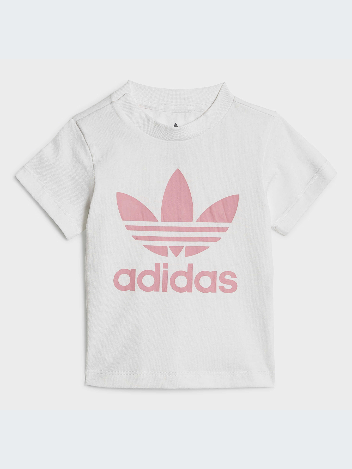 Спортивный костюм Adidas Adicolor модель HK7480 Фото