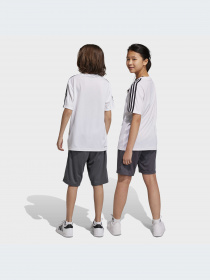 Спортивний комплект Adidas модель HS1608 Фото