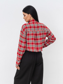 Сорочка Romashka Бісмарк Модель 201025202001 Фото