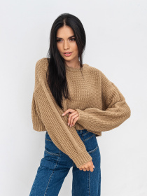 Джемпер Romashka Бронкс модель 399012103025 Фото