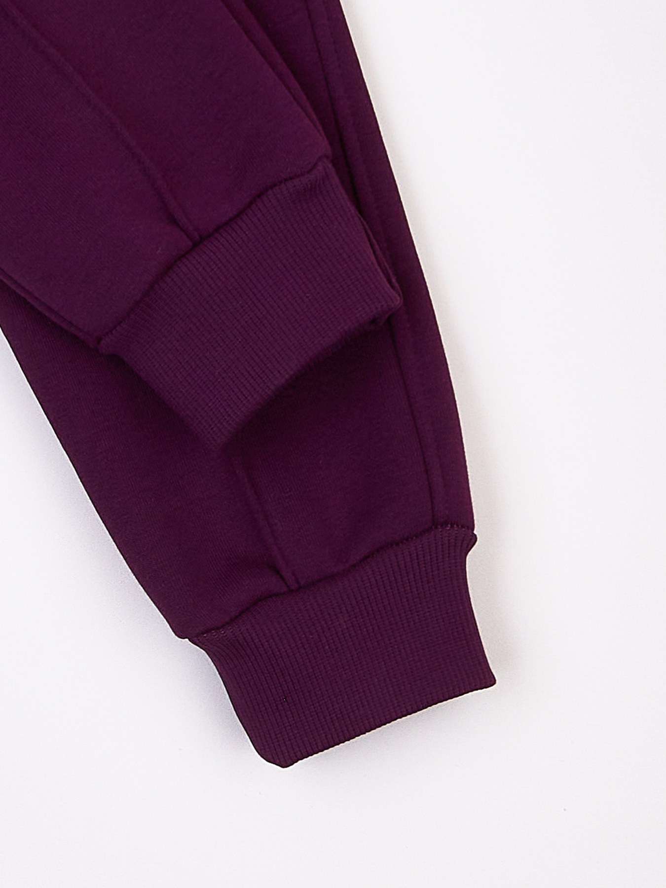 Джоггеры KRAKO модель НФ-00001116 Фото