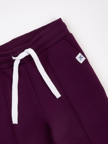 Джоггеры KRAKO модель НФ-00001116 Фото