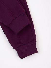 Джоггеры KRAKO модель НФ-00001116 Джоггеры KRAKO модель НФ-00001116 Фото