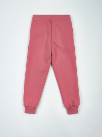 Джоггеры KRAKO модель НФ-00001117 Фото