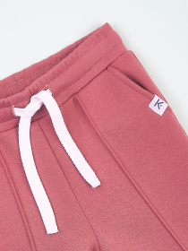 Джоггеры KRAKO модель НФ-00001117 Фото