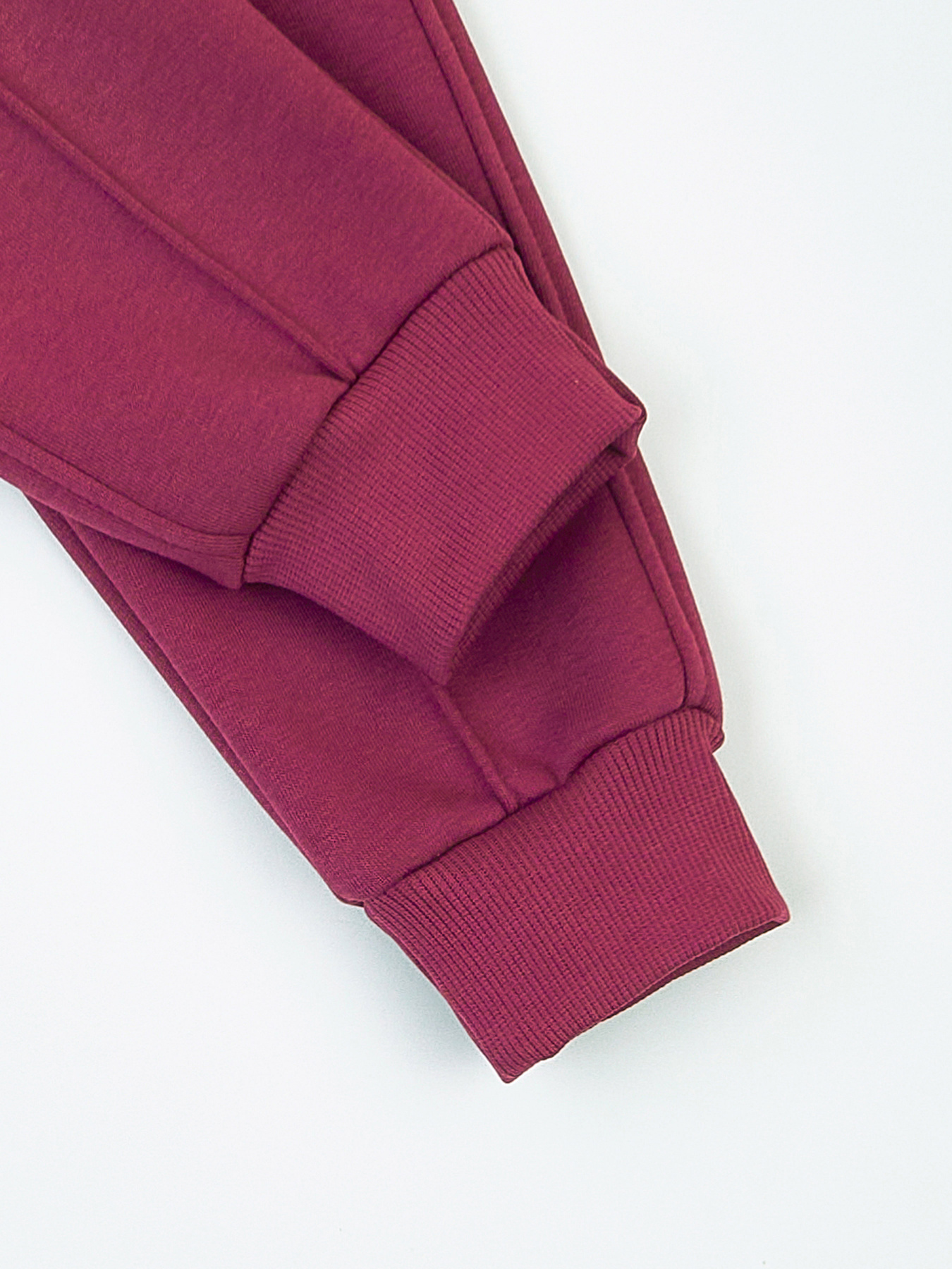 Джоггеры KRAKO модель НФ-00001118 Фото