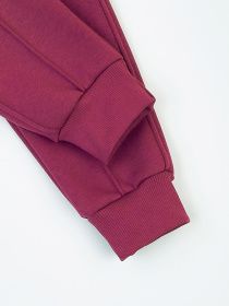 Джоггеры KRAKO модель НФ-00001118 Фото