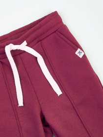 Джоггеры KRAKO модель НФ-00001118 Фото