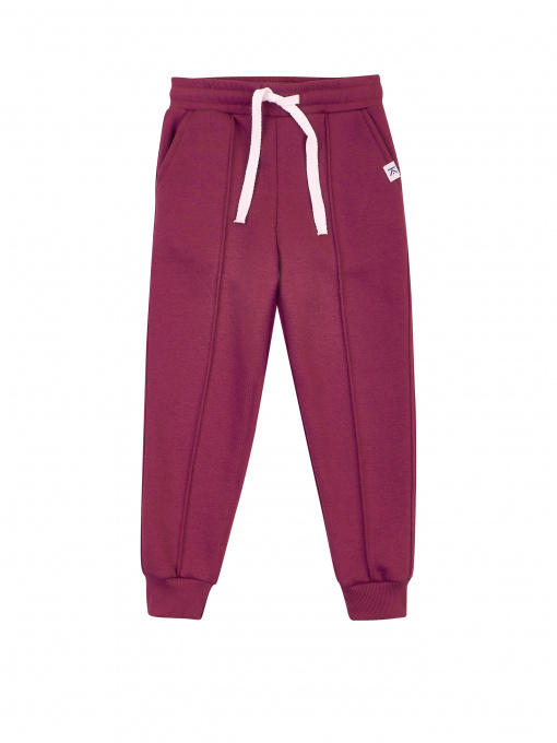 Джоггеры KRAKO модель НФ-00001118 Фото