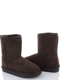 Сапоги ITTS модель B5825-18 Фото