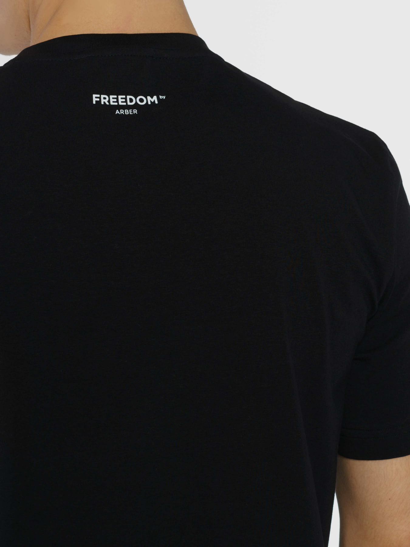 Футболка Arber модель F13.15.02.332 Фото
