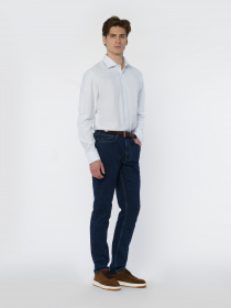 Сорочка Arber модель M05.25.01.333 Фото