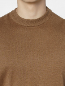 Джемпер Arber модель M10.23.16.331 Фото