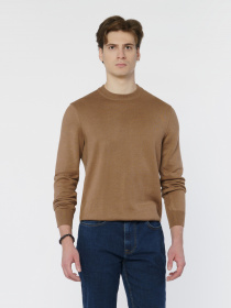 Джемпер Arber модель M10.23.16.331 Фото