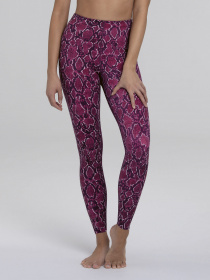 Леггинсы спортивные Anita модель 1696CompressionTights_Berry Фото