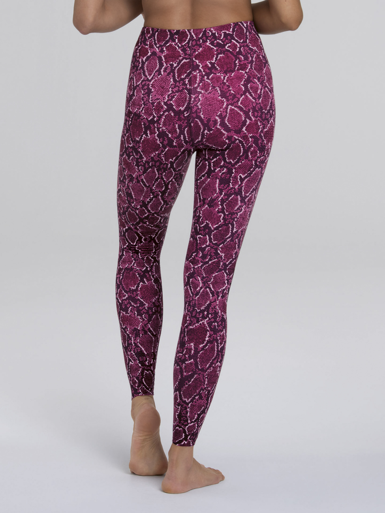 Спортивні леггінси Anita модель 1696CompressionTights_Berry Фото