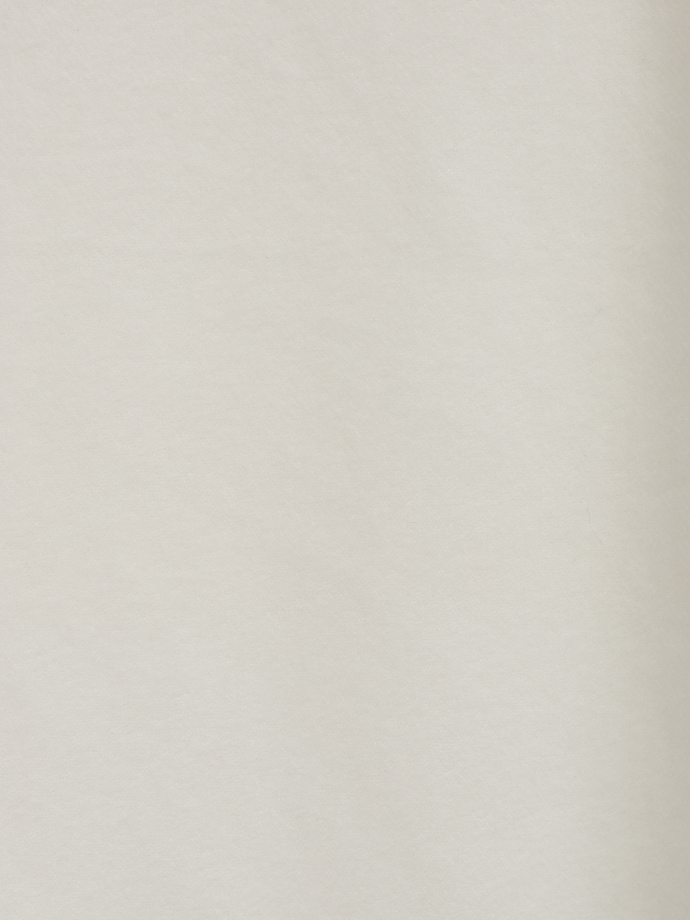 Шарф Regina Notte модель 4000000217185 Фото