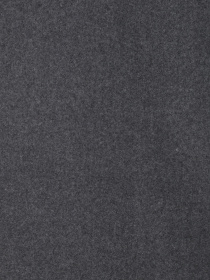 Шарф Regina Notte модель 4000000217154 Фото