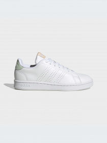 Кеды низкие Adidas Advantage модель HR0321 Фото