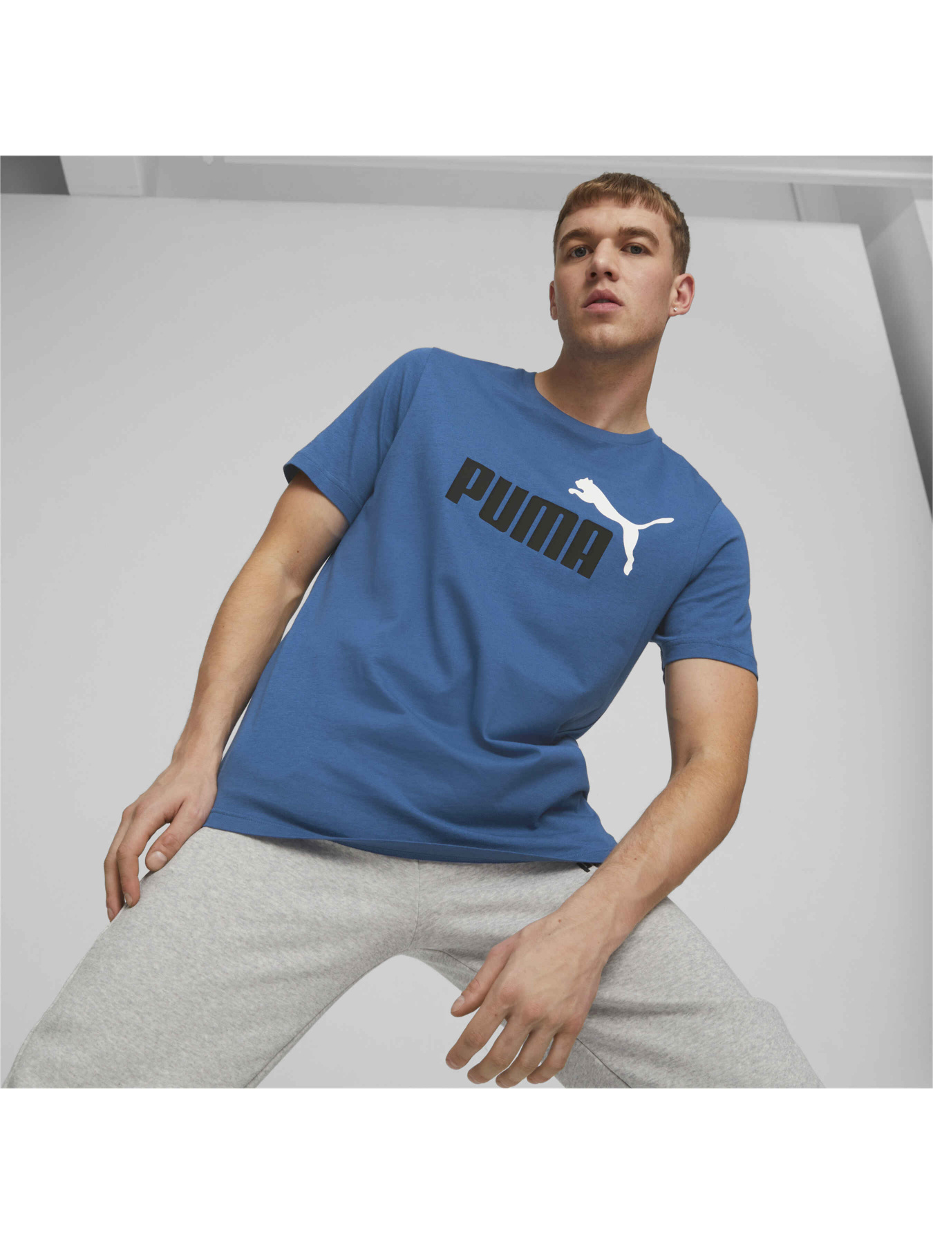 Спортивная футболка PUMA Ess+ 2 Col Logo Tee модель 586759 Фото