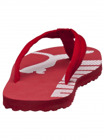 Вьетнамки PUMA Epic Flip V2 модель 360248 Фото