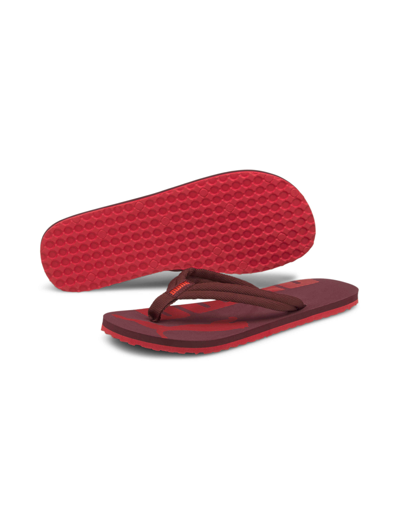 Шлепанцы PUMA Epic Flip V2 модель 360248 Фото