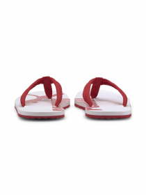 Вьетнамки PUMA Epic Flip V2 модель 360248 Фото