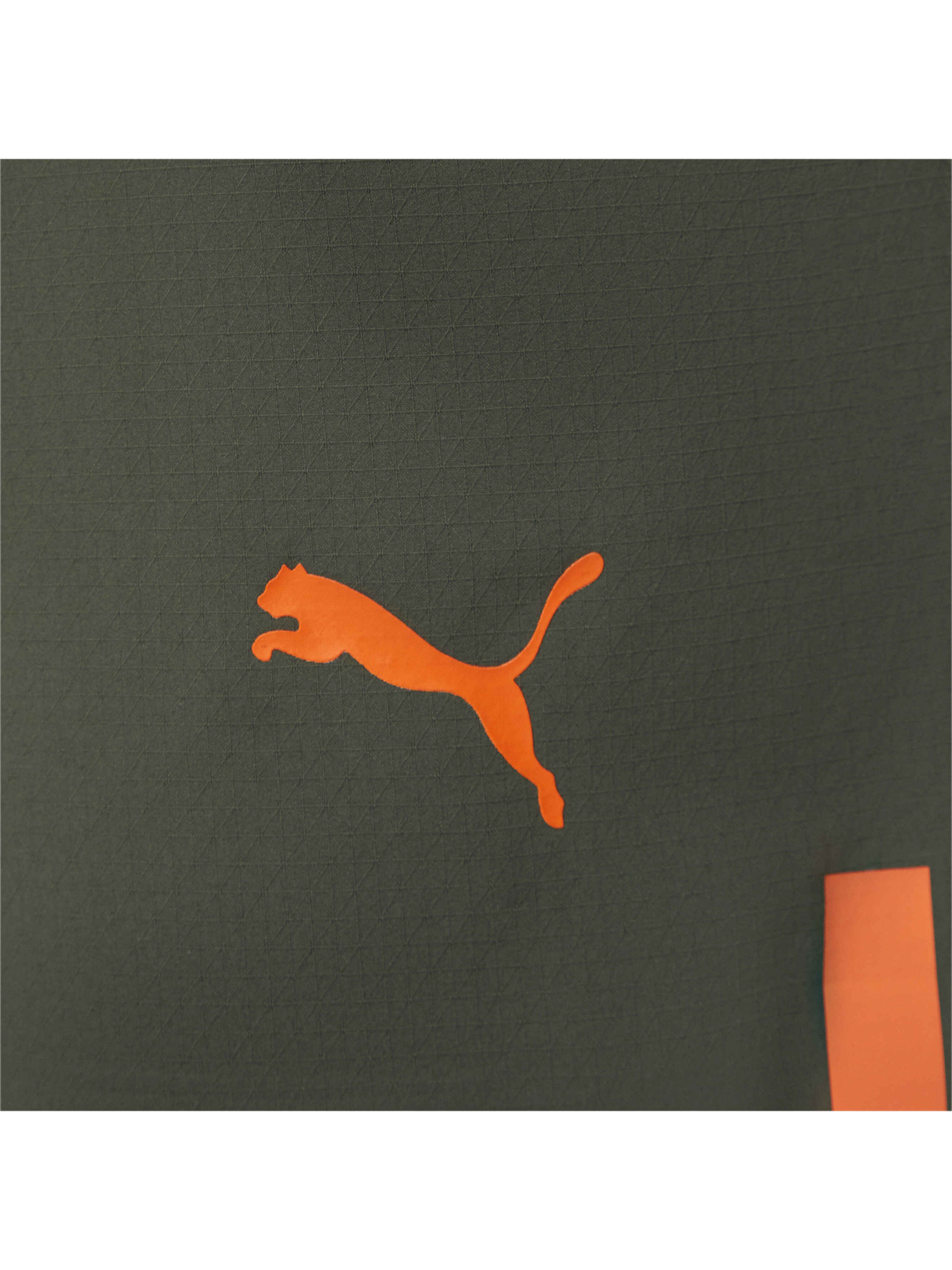 Шорты спортивные PUMA Fcsd Shorts Promo W модель 765638 Фото