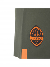 Шорты спортивные PUMA Fcsd Shorts Promo W модель 765638 Фото