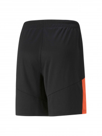 Шорты спортивные PUMA Individualfinal Training Sho модель 658042 Фото