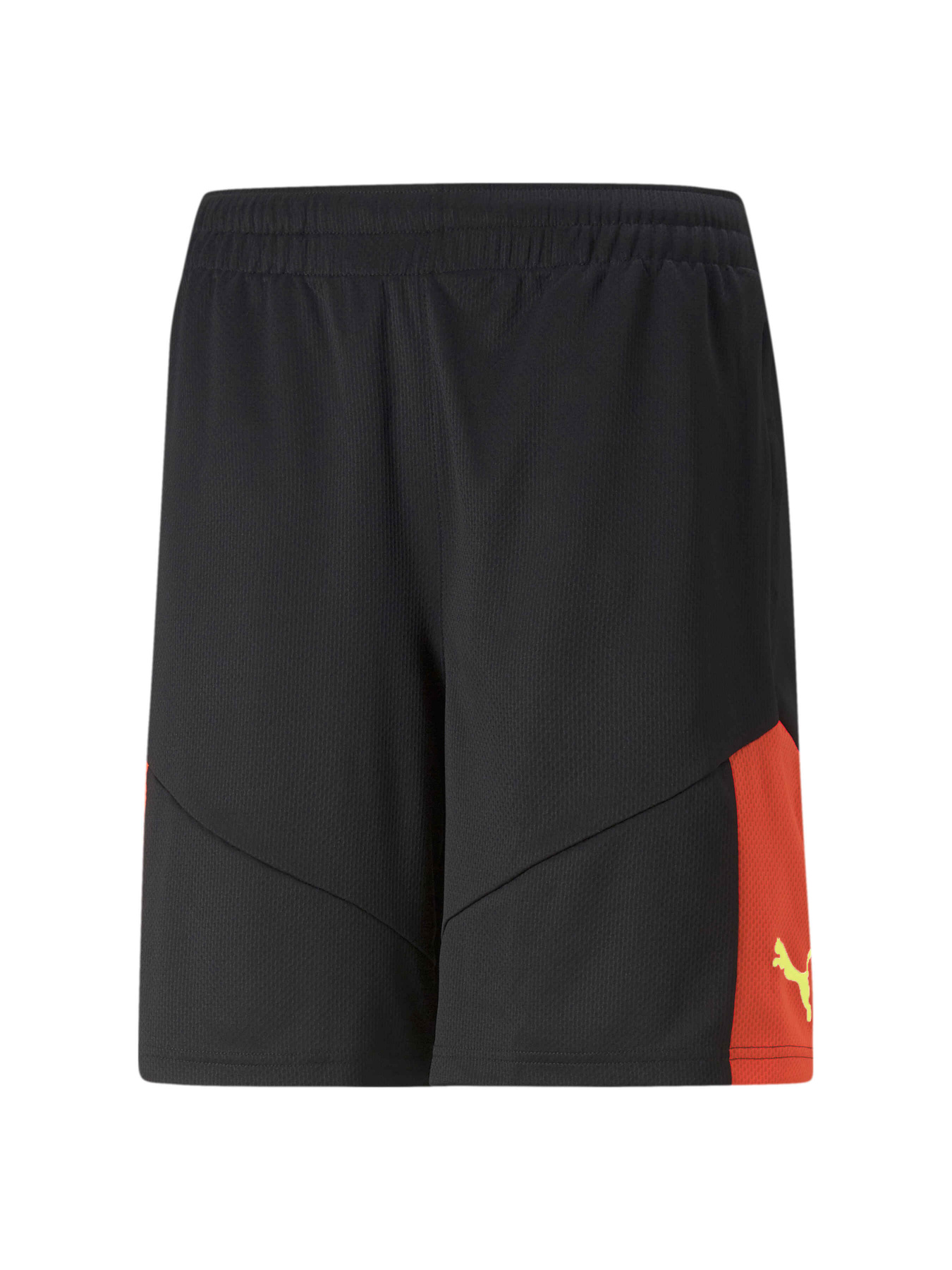 Спортивні шорти PUMA Individualfinal Training Sho модель 658042 Фото