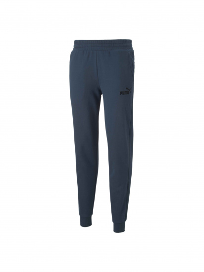 Штани спортивні PUMA Ess Elevated Sweatpants модель 849889 - фото