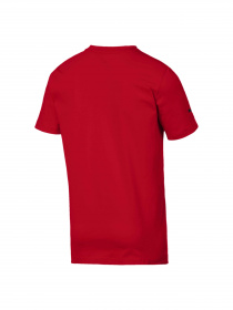 Футболка спортивна PUMA Sf Big Shield Tee модель 595554 Фото