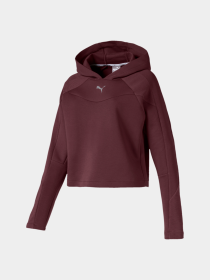 Свитшот PUMA Evostripe Hoody модель 580059 Фото